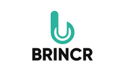 brincr-250.jpg